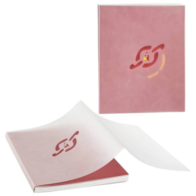 Triple Q: cubiertas de plástico para agendas y cuadernos.Cubiertas para agenda.1603189504TP22A_Em00XxW1000_tapa-flexible-para-encuadernación-manual-en-material-rígido-personalizable.jpg